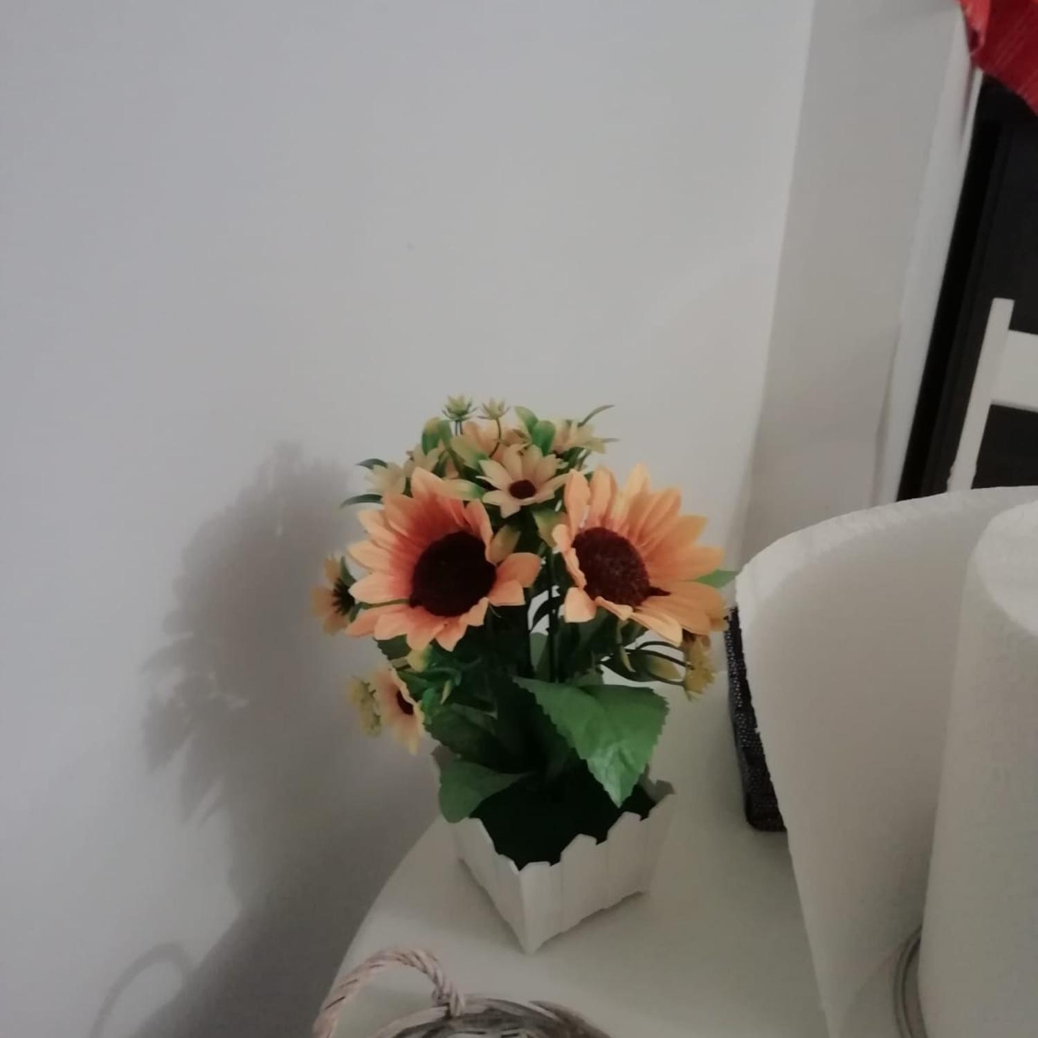 Affection Apartment Bologna Ngoại thất bức ảnh